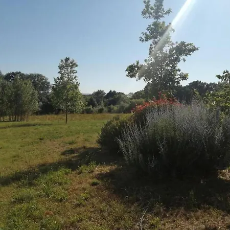 Near The Canal Du Midi, Cleaning Included Olonzac